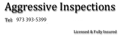 Aggressive Inspections LLC